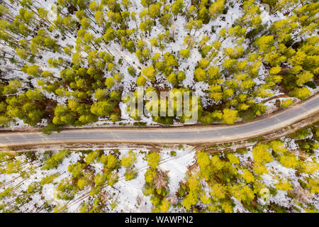 Strada nella primavera forest aerial vista dall'alto. La neve si scioglie sul lato della strada e tra gli alberi. Foto Stock