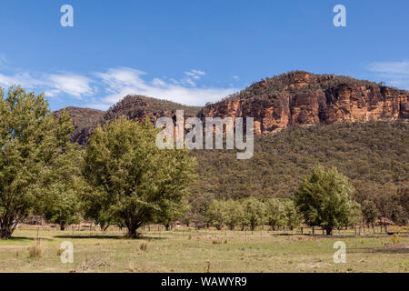 Costoni di arenaria e macchia naturale terreno nella valle Capertee, NSW, Australia Foto Stock