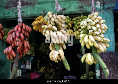 Banane colorate su un mercato a Madurai, India Foto Stock