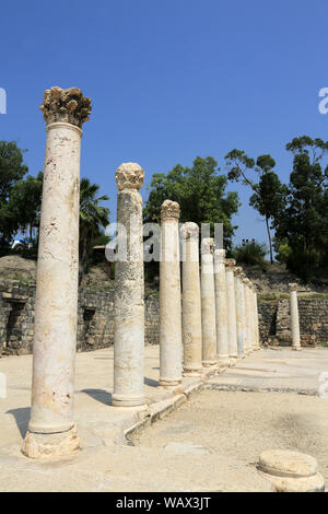 Il cardo romano di Beit She'un Parco Nazionale. Golan. Israël. Foto Stock