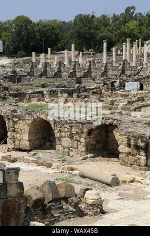 Il cardo romano di Beit She'un Parco Nazionale. Golan. Israël. Foto Stock