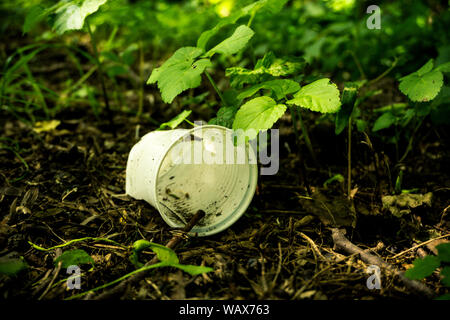 Vista frontale di un bicchiere di plastica che si trova in una zona boscosa inquinare l'ambiente mentre le piante giovani cercano di crescere, Foto Stock