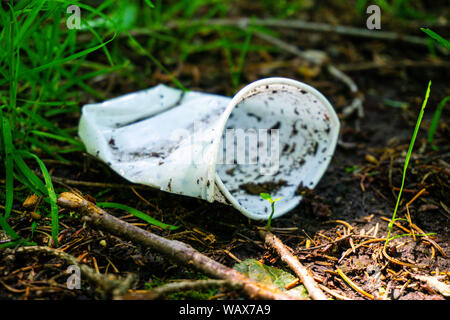 Un bicchiere di plastica si trova in una zona boscosa inquinare l'ambiente mentre le piante giovani cercano di crescere, Foto Stock