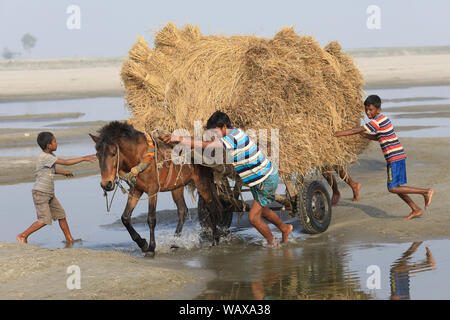 Il contadino del popolo chars sulla sponda del fiume Jamuna in Bogra, Bangladesh Foto Stock