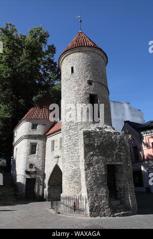 Torre Sud del cancello Viru nella città vecchia di Tallinn, Estonia Foto Stock