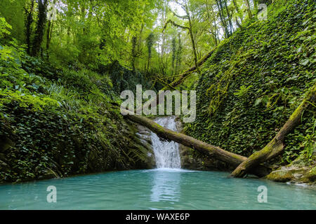 Fiume di montagna nella gola e pietre coperte di muschio. La cascata e la fitta vegetazione. L'estate. Foto Stock