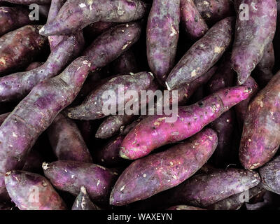 Pila di dolci fresche filo viola o patate con ruvida naturale texture della pelle Foto Stock