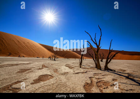 Natura, Paesaggio, Namibia, Namib, Dersert, Namib Desert Dune, Duna Rossa, Sossusvlei, 30077656 Foto Stock