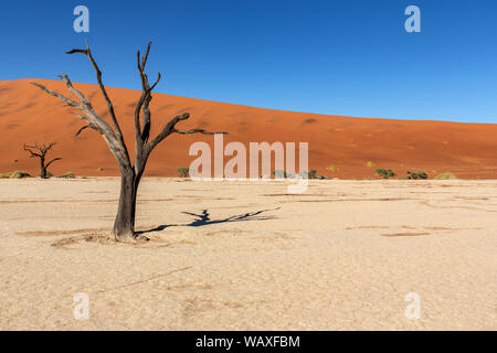 Natura, Paesaggio, Namibia, Namib, Dersert, Namib Desert Dune, Duna Rossa, Sossusvlei, 30077655 Foto Stock