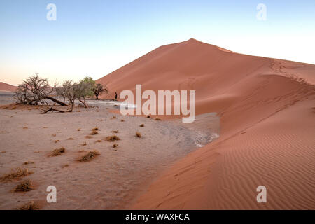 Natura, Paesaggio, Namibia, Namib, Dersert, Namib Desert, Sunrise, Dune, Duna Rossa, 30077669 Foto Stock