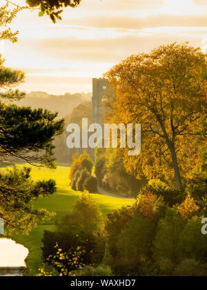 Rovine di Fountains Abbey a Studley Royal acqua giardino, North Yorkshire, Regno Unito. Foto Stock