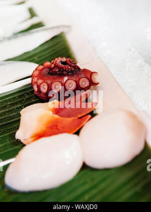 Piatti a base di frutti di mare freschi polpo Tako e Hokkigai stimpson vongola surf su ghiaccio per il giapponese Sushi Sashimi Foto Stock