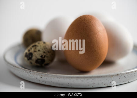 Marrone e bianco Uova di galline e uova di quaglia su una piastra di stile rustico. Immagine ravvicinata, immagine artistica. Foto Stock