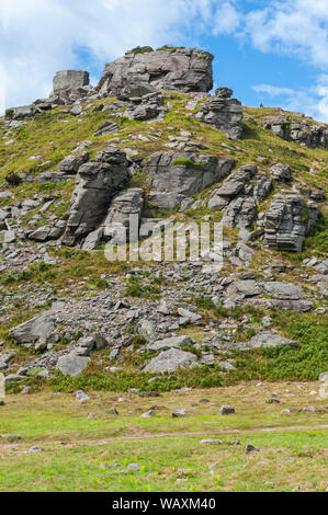 La Valle di rocce è una valle secca che corre parallela alla costa in North Devon, Inghilterra Foto Stock