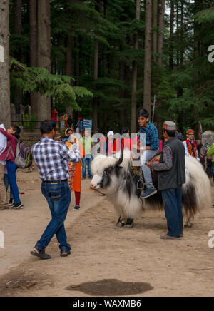 Manali, Himachal Pradesh, India - 27 Maggio 2019 : i turisti sono godendo al tempio di hidimba Foto Stock