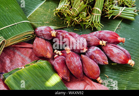 Rossi freschi Fiori di Banana o una banana bud sulle sue foglie in Asian mercato mattutino. Organic homegrown agriculture prodotti Foto Stock