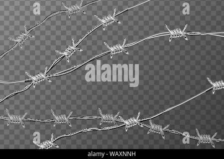 Diverse linee di finitura lucida realistico filo spinato su sfondo trasparente Illustrazione Vettoriale