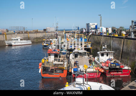 Barche da pesca ormeggiate nel porto a Seahouses sulla costa di Northumberland, Regno Unito Foto Stock