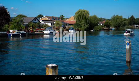 Bellissimo Fiume Tamigi, estate, Laleham Staines Surrey, Inghilterra, Regno Unito, GB. Foto Stock