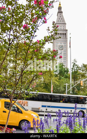 Fiori di taxi e autobus al Madison Square di New York City, Stati Uniti d'America. Foto Stock