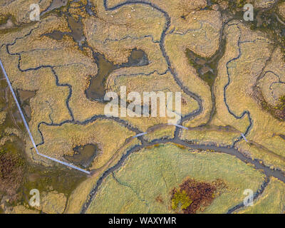 Antenna vista dall'alto in basso della palude di marea con sinuosità naturale sistema di drenaggio in Verdronken Land van Saeftinghe in Zeeland, Paesi Bassi Foto Stock