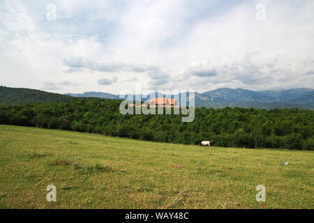 Il cavallo nelle montagne del Caucaso, Azerbaigian Foto Stock