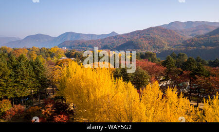 Vista aerea dell'autunno Nami Island,Seoul COREA Foto Stock