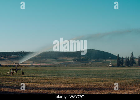 Irrigazione o di agricoltura e allevamento concetto. Sprinkler perno spruzzare acqua sul campo verde. Sistema di irrigazione in funzione. Irrigazione di colture agricole Foto Stock