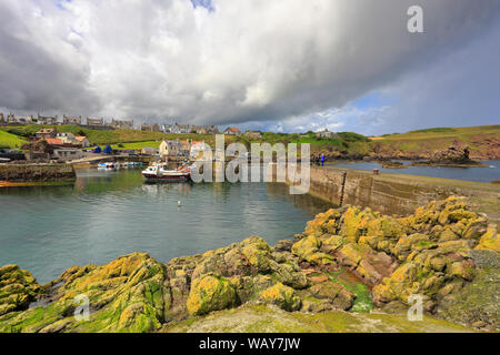 St Abbs Harbour, St Abbs, Berwickshire, Scottish Borders, Scotland, Regno Unito. Foto Stock