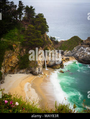 McWay cade in Big Sur la molla Foto Stock