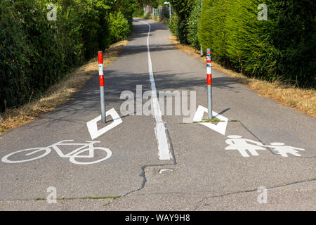 Freiburg im Breisgau, parallelo percorso di ciclo e il sentiero, appositamente contrassegnati, Foto Stock