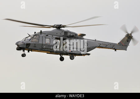 NHIndustries NH90 elicottero di n. 3 Squadron RNZAF, Royal New Zealand Air Force presso l'aerodromo di cofano, Masterton, Nuova Zelanda. Nuova risorsa militare Foto Stock