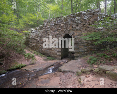 Poinsett ponte su poco spazio Creek. Il più antico ponte di Carolina del Sud. Costruito nel 1820 e chiamato con il nome di Joel Roberts Poinsett. Entro il Poinsett BRI Foto Stock