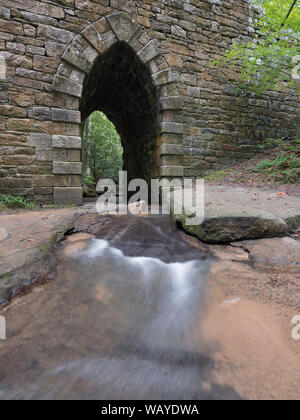 Poinsett ponte su poco spazio Creek. Il più antico ponte di Carolina del Sud. Costruito nel 1820 e chiamato con il nome di Joel Roberts Poinsett. Entro il Poinsett BRI Foto Stock