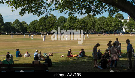 Cricket sul Villaggio Verde Foto Stock