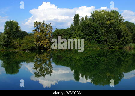 Riserva naturale del Sebino, Italiano wetland. Foto Stock