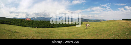 La valle in montagna caucasico, Azerbaigian Foto Stock