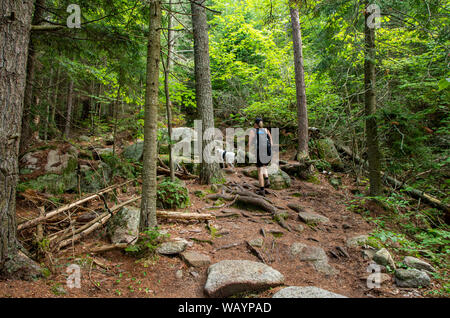 Femmina con escursioni cane d'argento lago trail Foto Stock