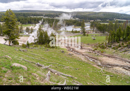 Il paesaggio al Upper Geyser Basin nel Parco Nazionale di Yellowstone dove vapore sorge dalle bocchette geyser e sorgenti calde vicino ad una foresta di Lodgepole pino t Foto Stock