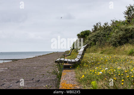 Panca solitaria sulla scogliera sull'isola di Langeoog al Mare del Nord, in Germania Foto Stock