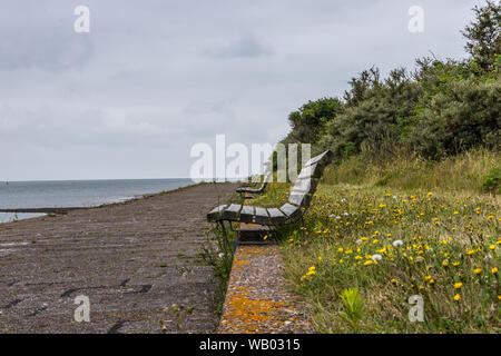 Panca solitaria sulla scogliera sull'isola di Langeoog al Mare del Nord, in Germania Foto Stock