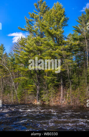 Forcella est del fiume Chippewa in Wisconsin settentrionale. Foto Stock