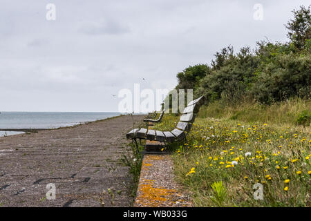 Panca solitaria sulla scogliera sull'isola di Langeoog al Mare del Nord, in Germania Foto Stock