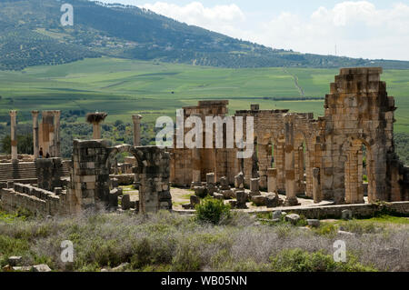 Volubilis Marocco, panorama di Volubilis Basicica con verdi campi in background Foto Stock