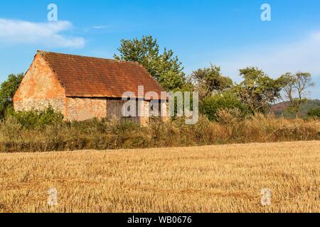 Il vecchio fienile agricoli nella Repubblica Ceca. Campo di raccolto. Mattina in azienda. Foto Stock