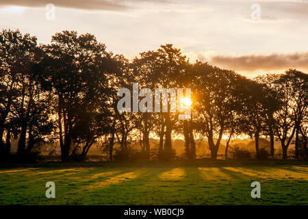 Sunup a Wigan Greater Manchester, Lancashire. Meteo REGNO UNITO 23 Agosto, 2019. Caldo e soleggiato per iniziare la giornata in wigan greater manchester con alba temperature a 18c come l'impatto del sud flussi di aria è sentita nel nord-ovest. La Gran Bretagna è rinforzata per una ondata di caldo che inizia questo mese di agosto weekend festivo, con una previsione di scorcher su lunedì festivo, quando le temperature sono attesi per colpire 30C plus. Credito: MediwaWorldImages/AlamyLiveNews. Foto Stock