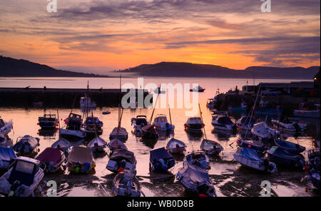 Lyme Regis, Dorset, Regno Unito. Il 23 agosto 2019. Regno Unito: Meteo una gloriosa sunrise oltre lo storico porto di Cobb nella località costiera comune di Lyme Regis. Barche ormeggiate nel porto profilarsi come il sole sorge su ciò che è previsto per essere calda e soleggiata giornata all'inizio di agosto Banca weekend di vacanza. Credito: Celia McMahon/Alamy Live News. Foto Stock