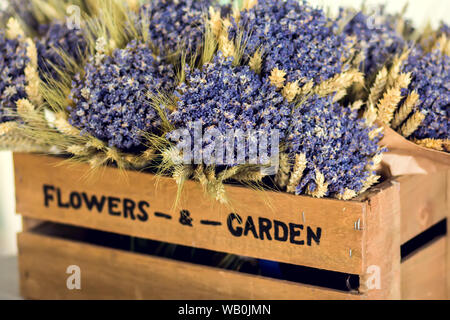 Un sacco di viola freschi di fiori di lavanda in una scatola di legno per vendere Foto Stock