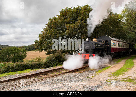 Helston ferroviarie, la Gran Bretagna è più a sud dalla ferrovia. Helston linea di diramazione, vista su tutta la campagna verso la lucertola e Costa Sud. National Rail Foto Stock