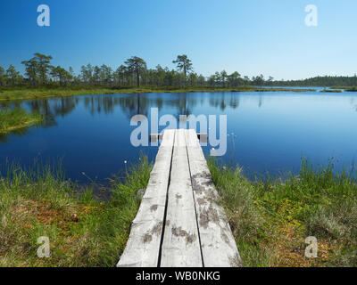 Piccolo lago in un caldo giorno d'estate. Paesaggio a nord dalla Kauhaneva-Pohjankangas parco nazionale in Finlandia. Foto Stock
